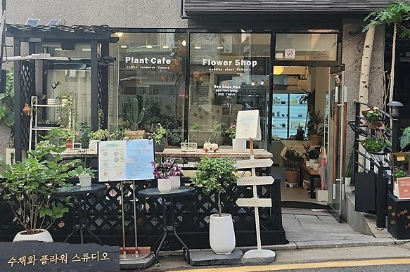  송파 석촌역 수채화 플라워 스튜디오 사진문서준기자 촬영